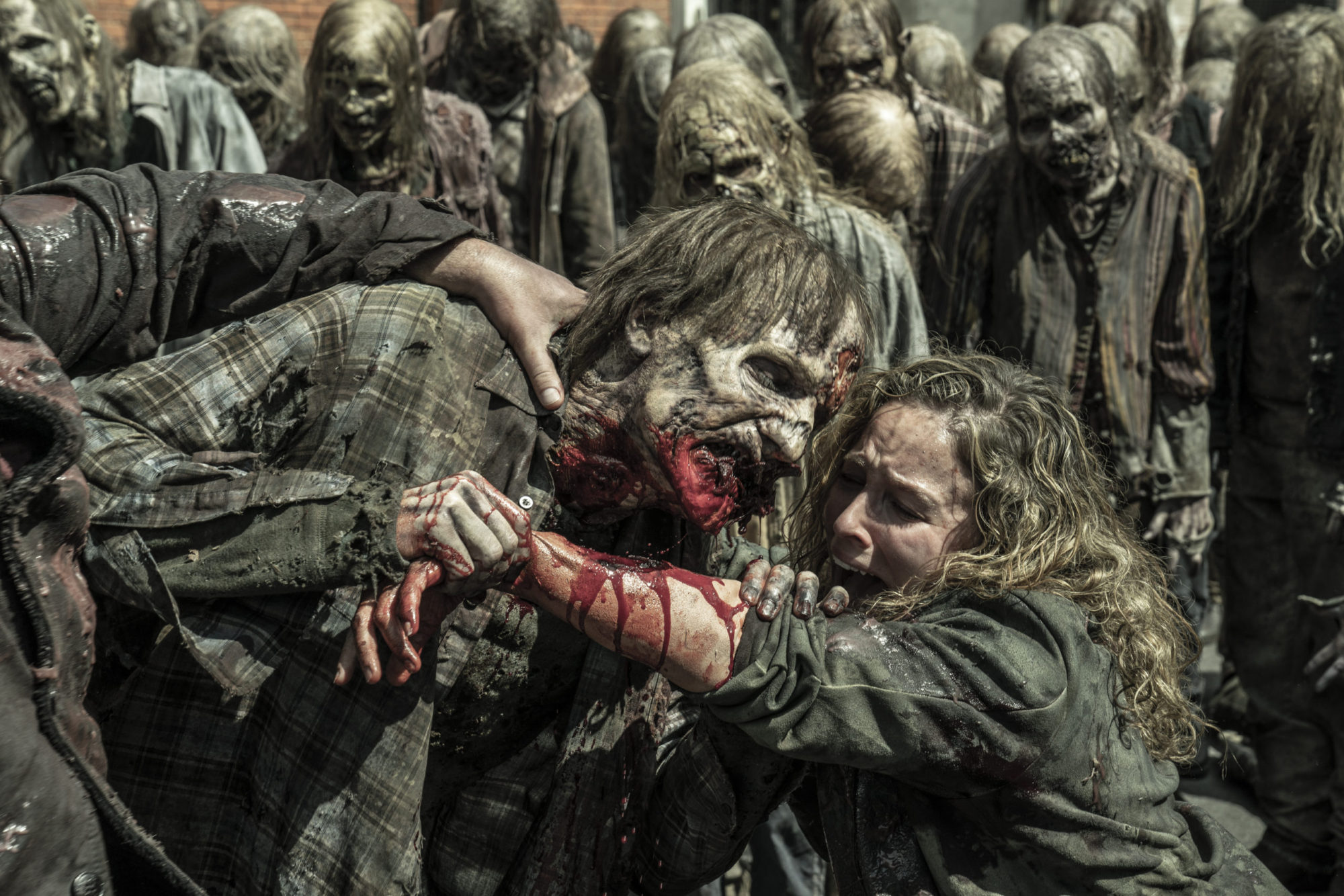 AMC Provides Huge Update on "The Walking Dead" Universe; "Fear the Walking  Dead" Ending - Bloody Disgusting