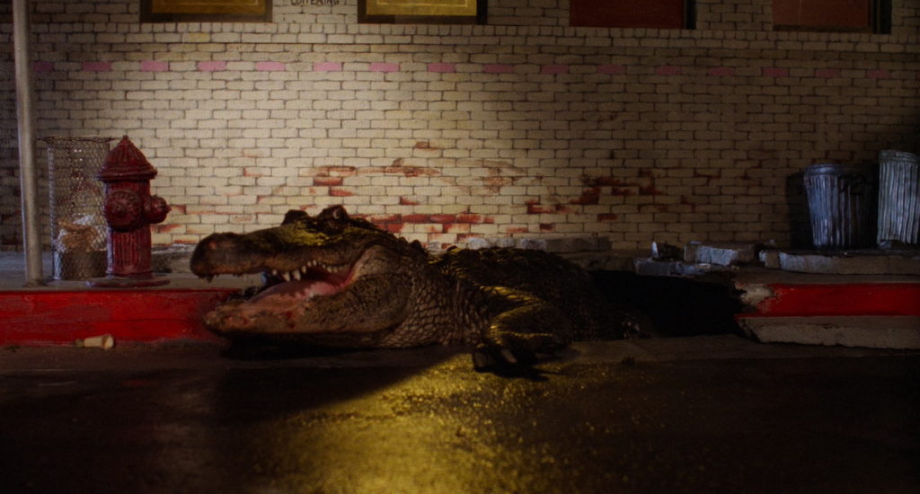 urban legend horror alligator