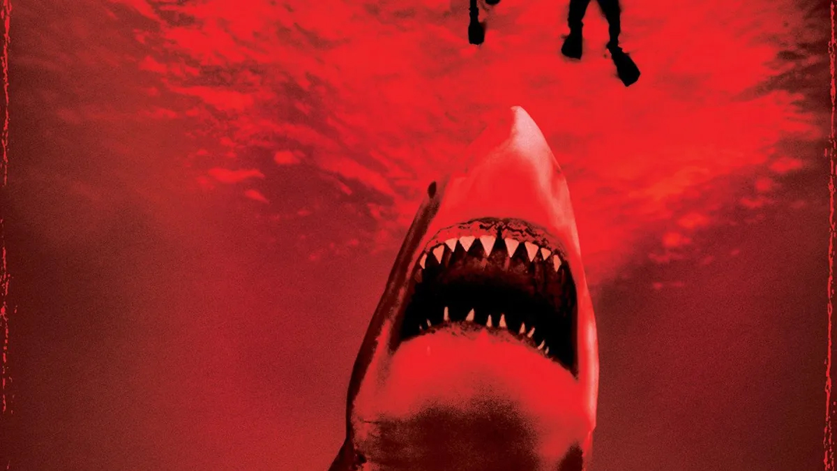 Shark attacks: the East Coast isn't ready for what's coming.