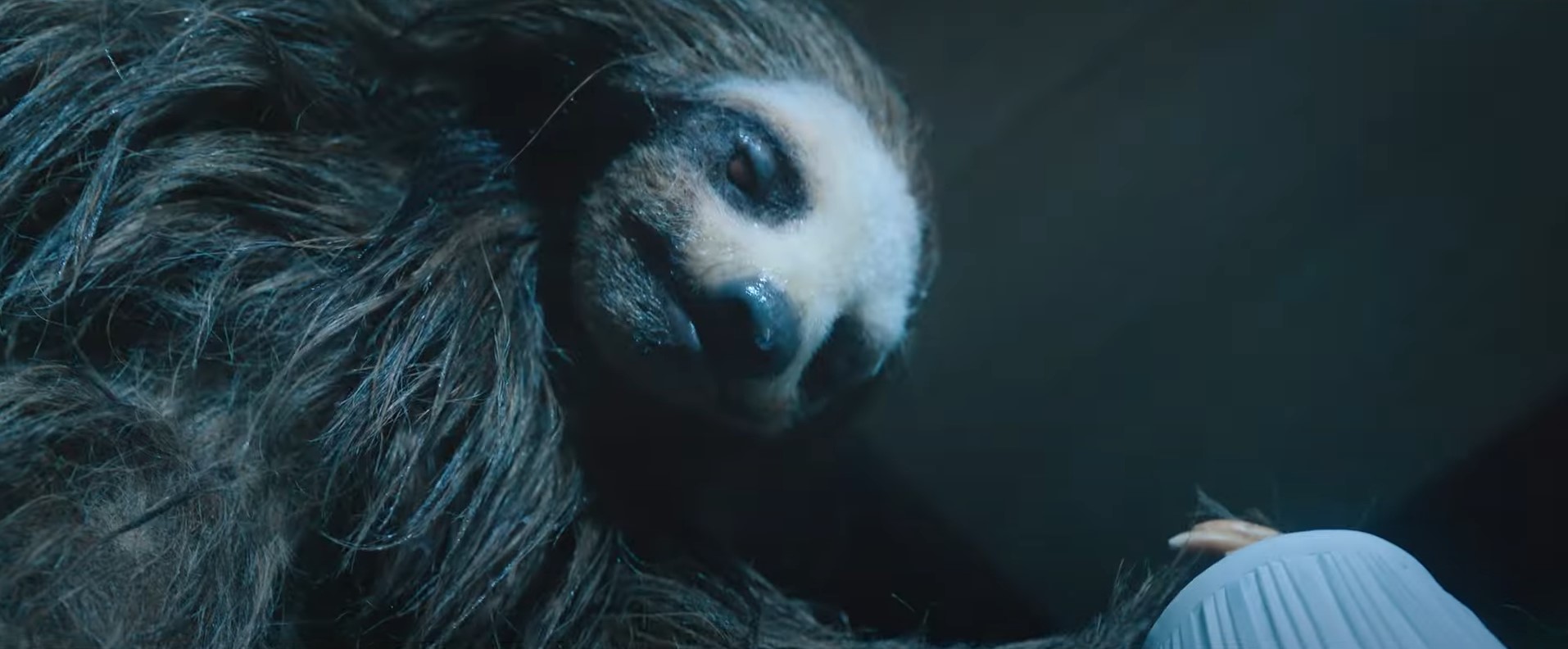 Slotherhouse trailer - killer sloth Alpha