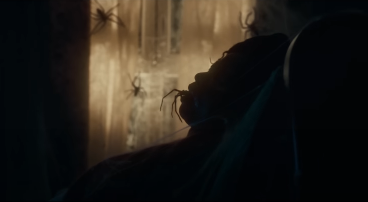 Infested' Trailer - Spider Horror Movie Features REAL SPIDERS