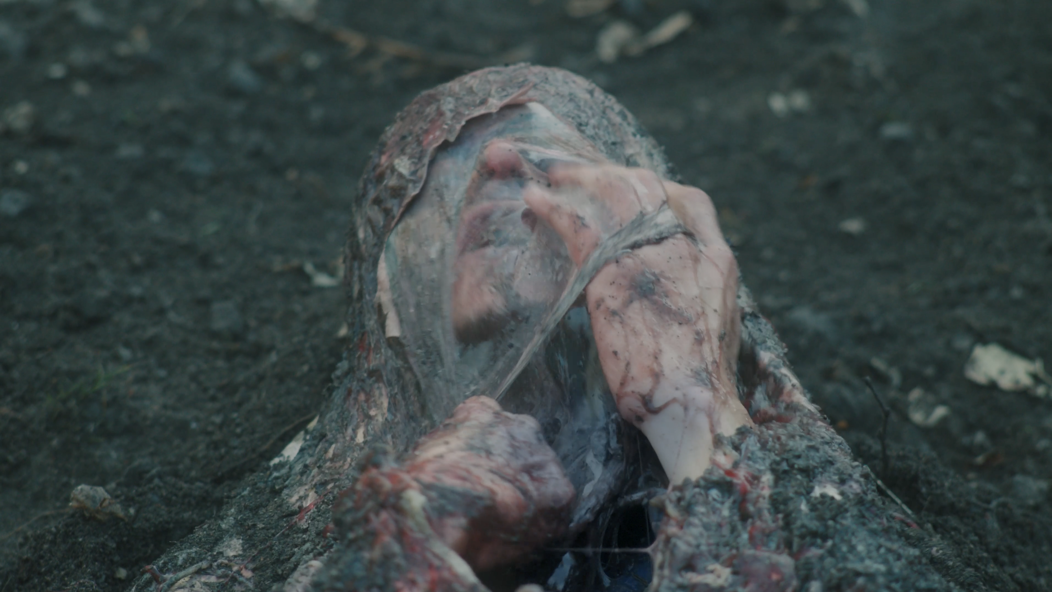 Hell Hole Trailer
