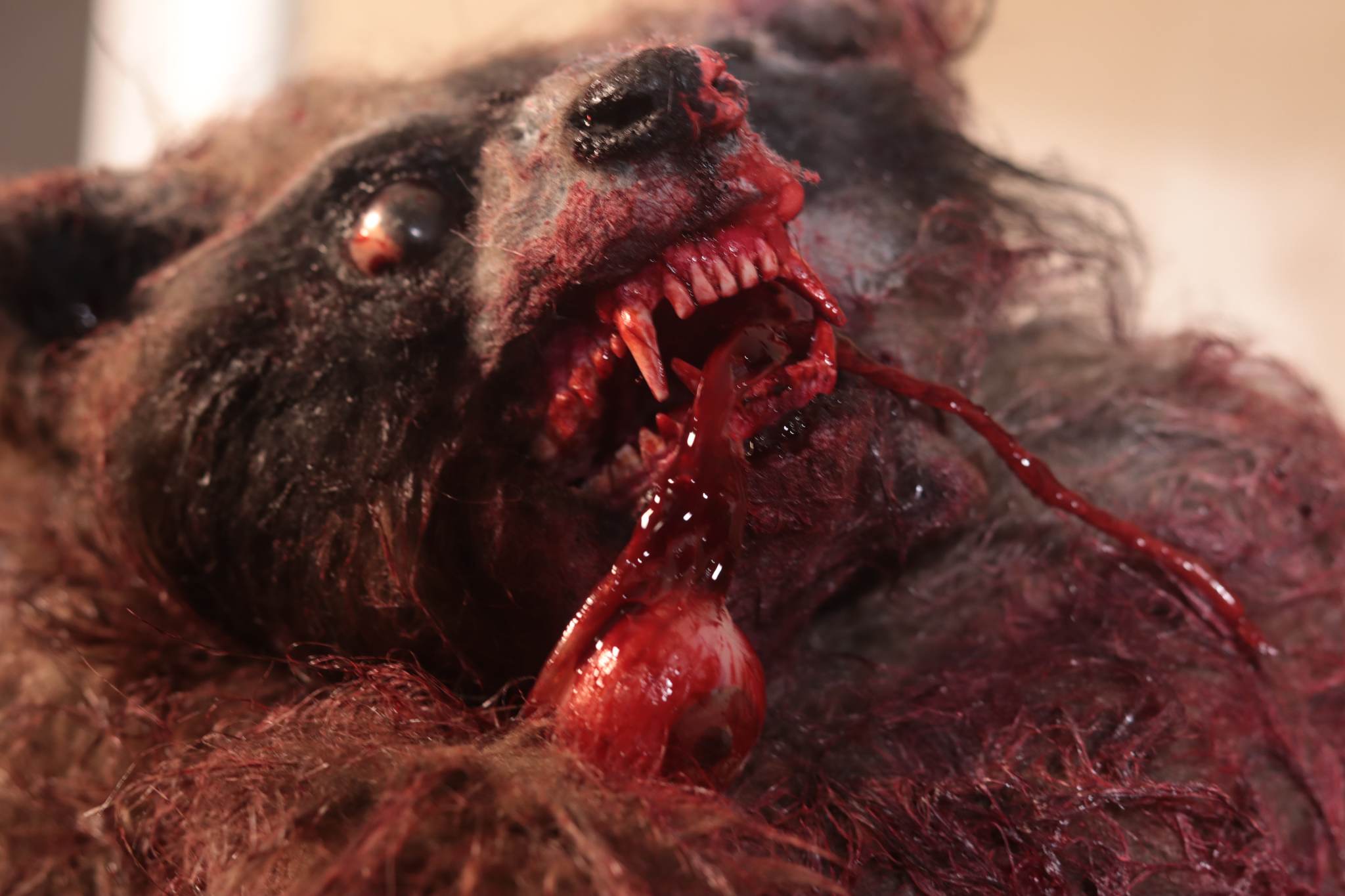 &#8216;Crackcoon&#8217; Trailer &#8211; SCREAMBOX Original Unleashes a Killer Raccoon from Hell This Halloween!