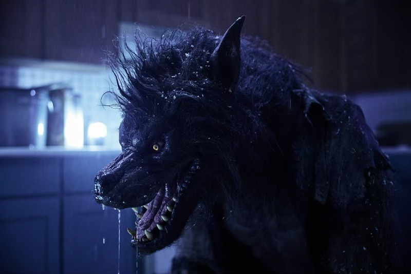 Countdown to the 'Werewolves' Trailer and the Super Moon!! Bloody