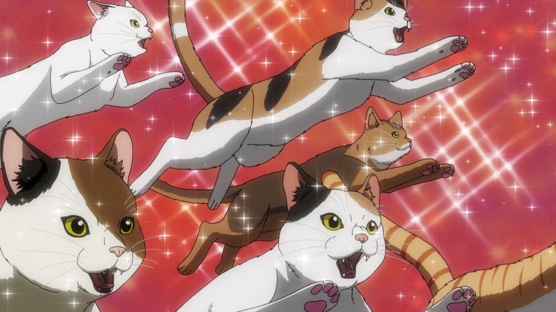アニメ Nekobserver Lampcat Nyaight of the Living Cat
