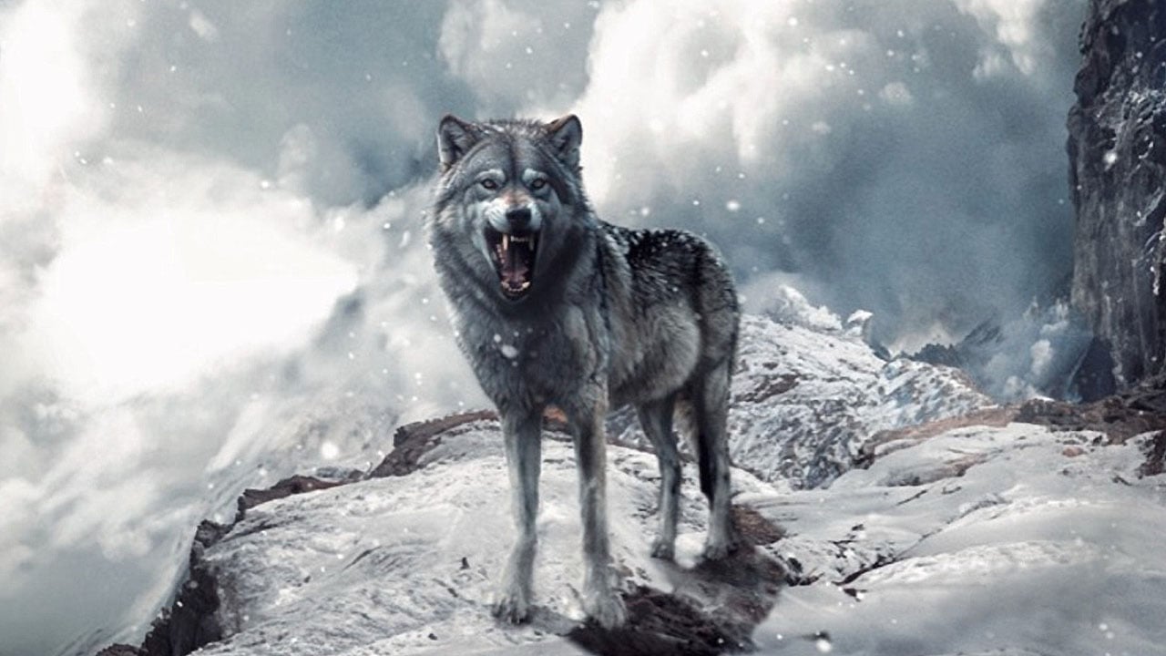 ‘Holy Shit!’ Director Lukas Rinker to Helm Survival Thriller ‘Frostbite’