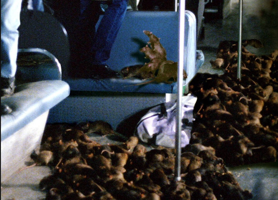 ‘Rats!’ – ‘The Final Girls’ Filmmaker Directing New York City Rat Infestation Horror Movie
