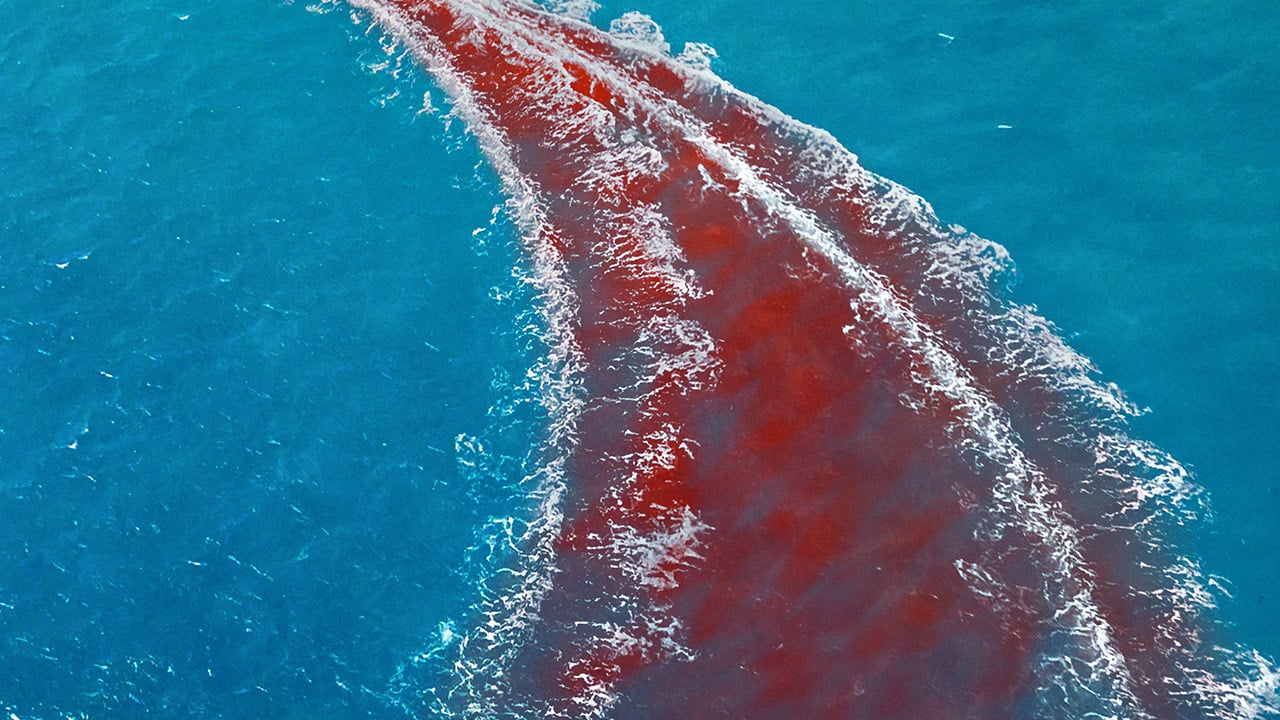 Sharks Are the Least of Your Worries on ‘Dangerous Animals’ Poster