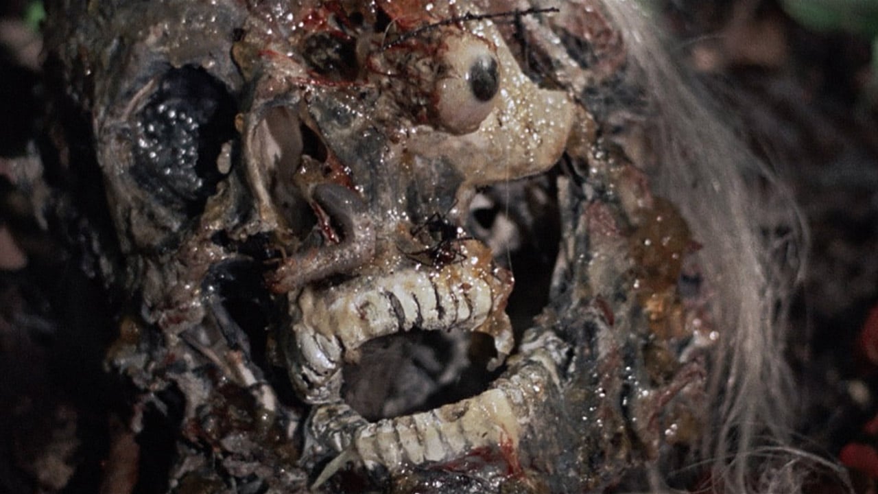 ‘Last Cannibal World,’ ‘Slave of the Cannibal God’ Take a Bite Out of 4K UHD from Severin Films