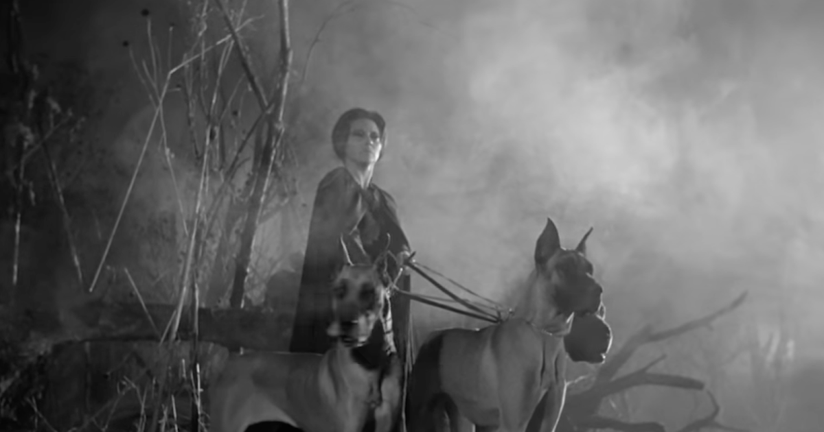 A woman dressed in black holds three enormous dogs at bay in a fog-shrouded forest