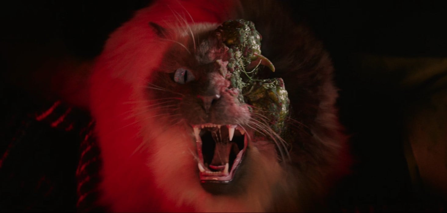 ‘Cold Storage’ Trailer &#8211; Joe Keery &#038; Georgina Campbell Get Stuck on Explosive, Gross-Out Night Shift