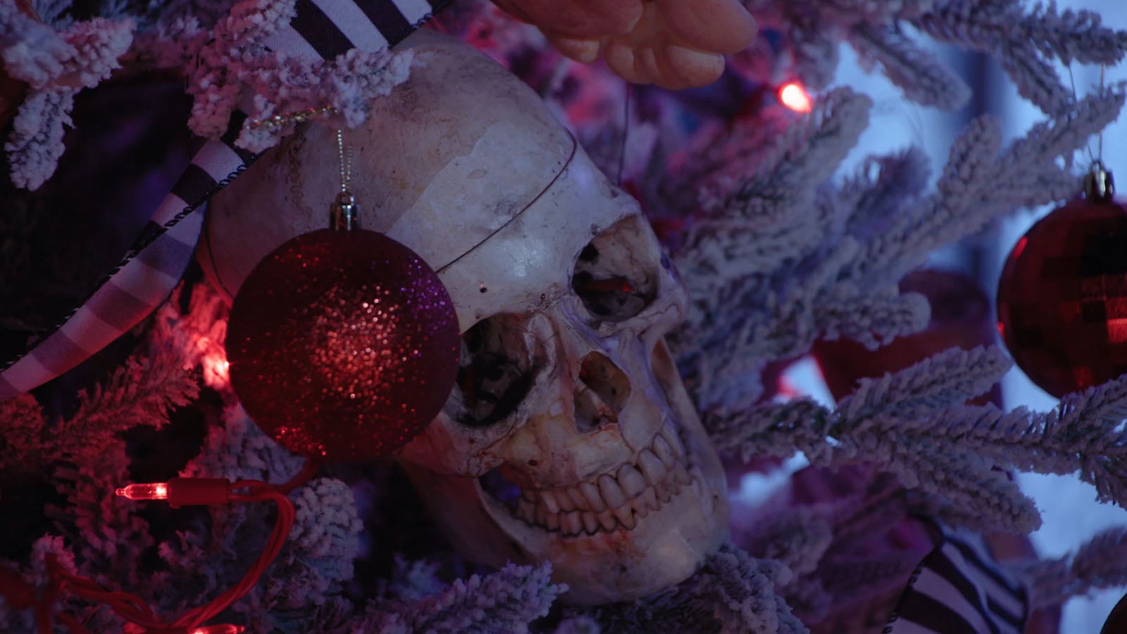 &#8216;The Boulet Brothers&#8217; Holiday of Horrors&#8217; Trailer &#8211; Shudder Anthology Stars Lauren LaVera, Bonnie Aarons, David Dastmalchian