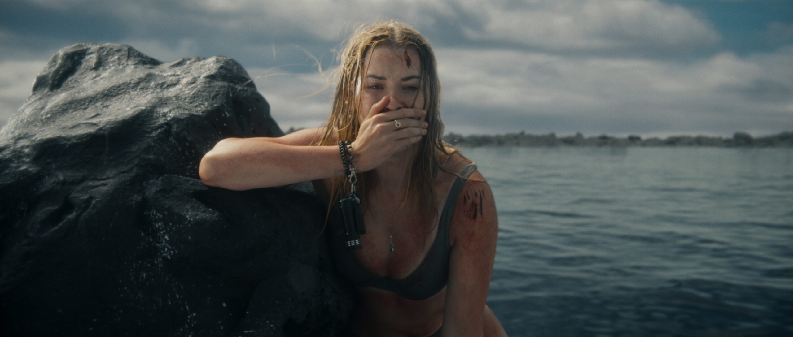Killer Whale Review
