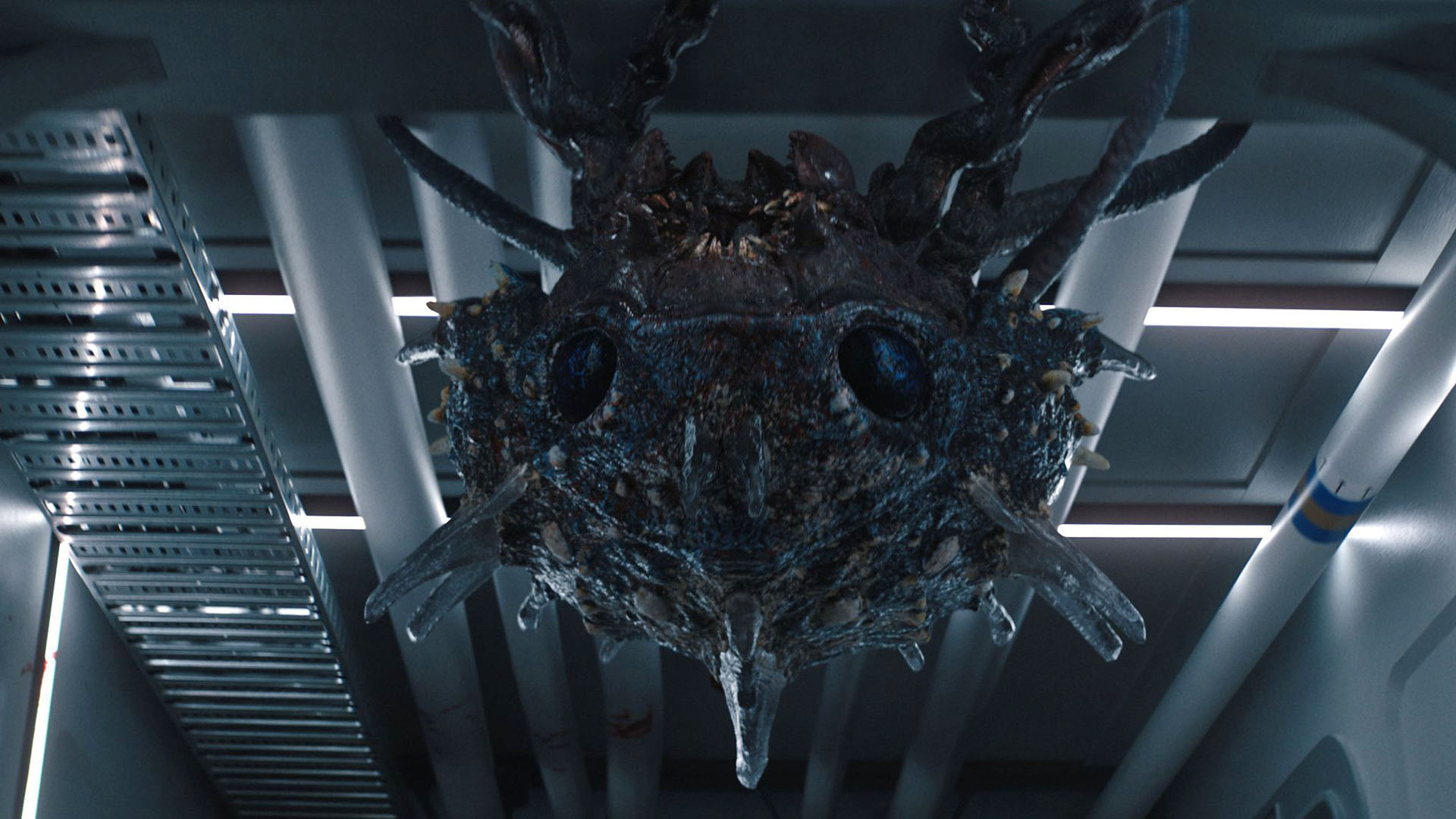 First Look at Scarab Creatures from 'Monarch: Legacy of Monsters' Season 2  - Bloody Disgusting