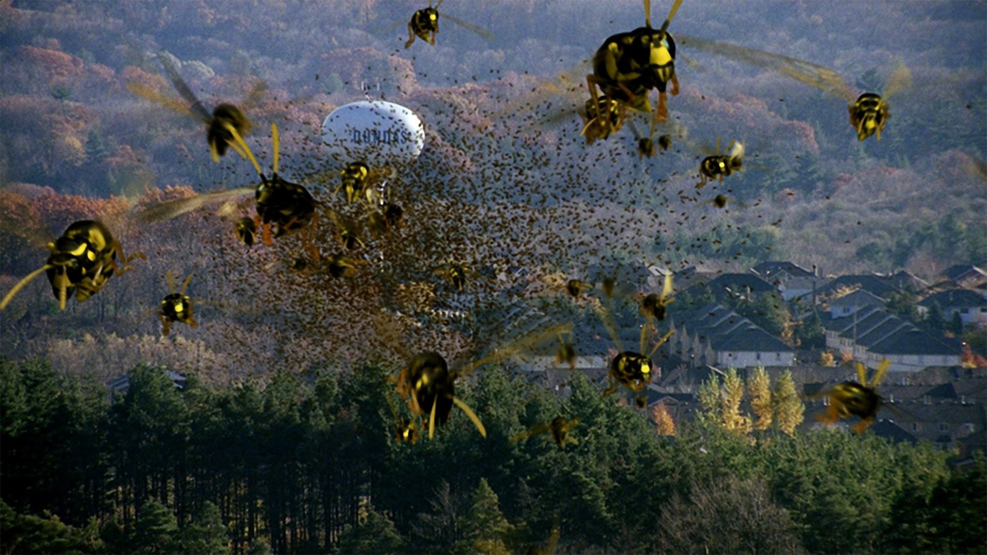 Hive