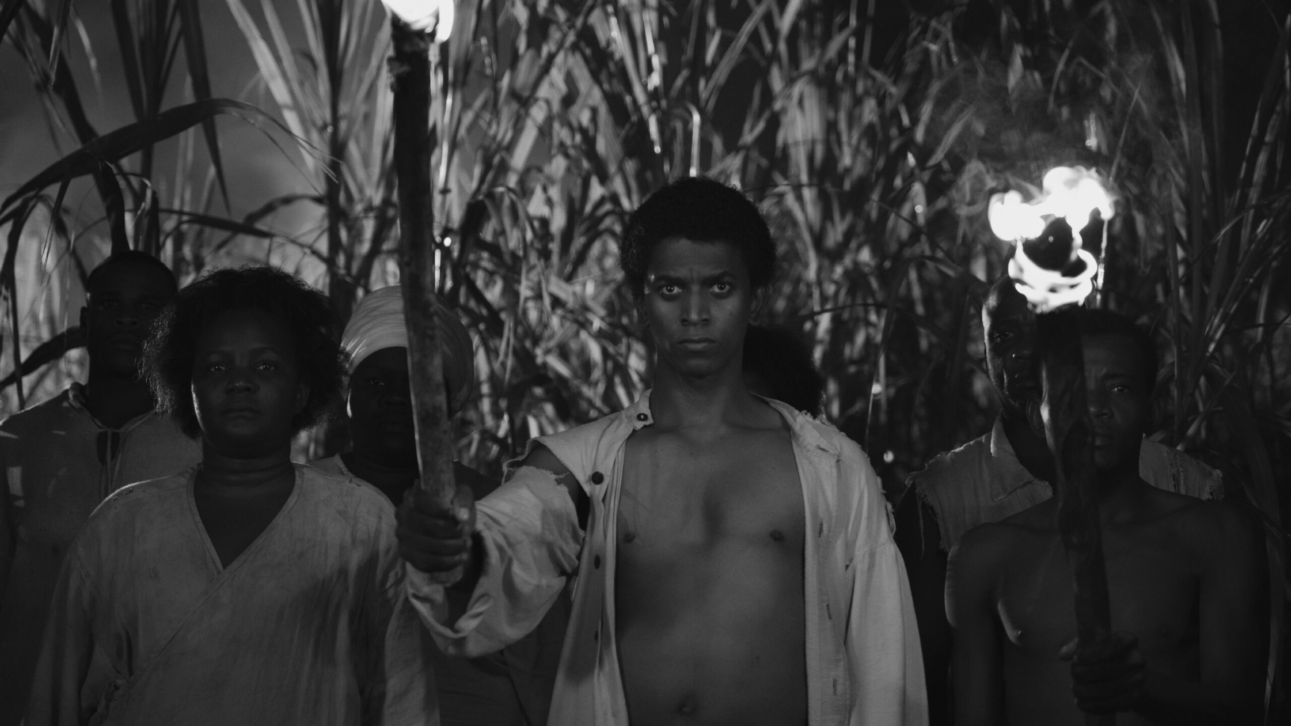 Black Zombie release date