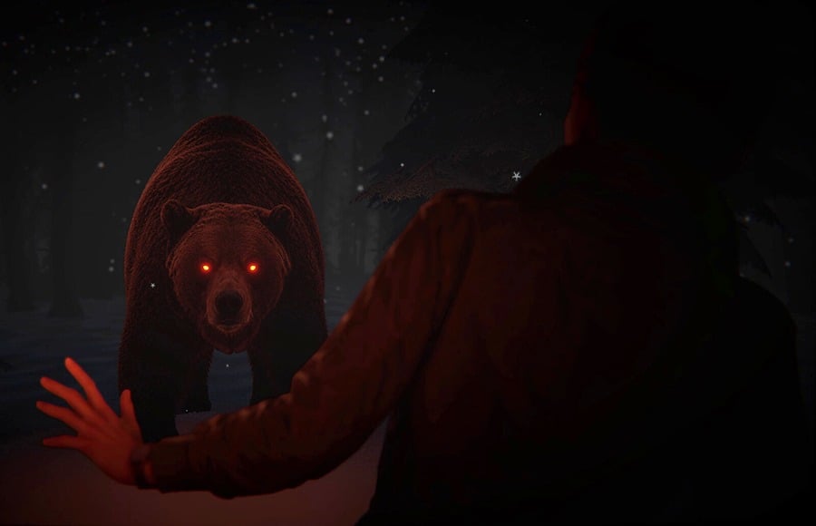 The Polar Darkness