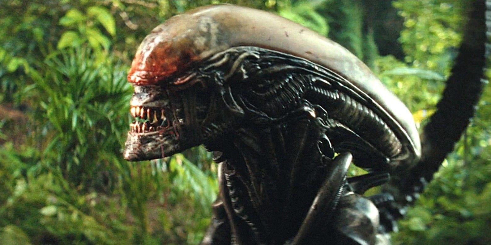 Alien: Earth season 2 begins production