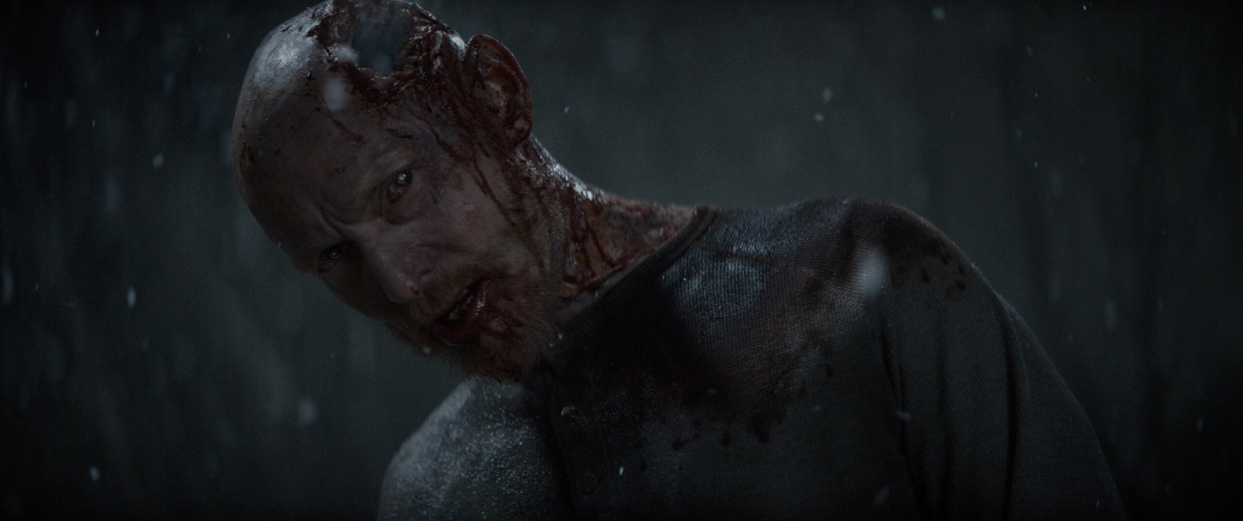 Evil Dead Burn review